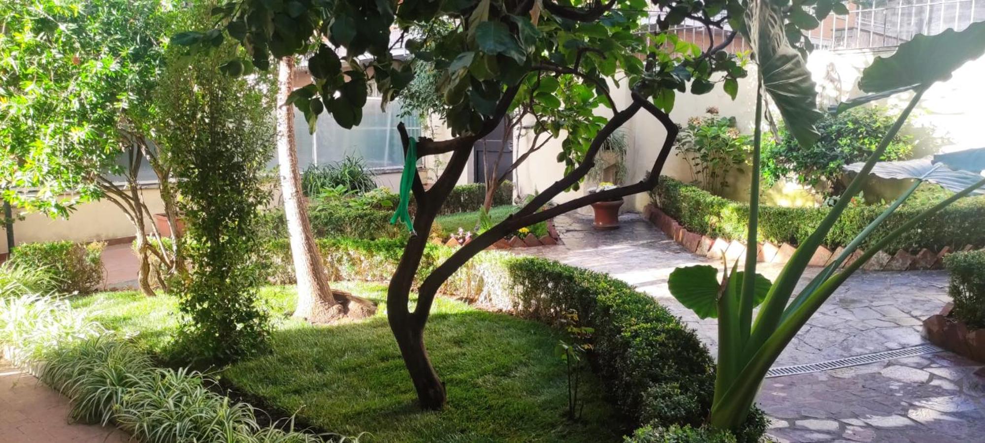 Villa Angeli Roma Dış mekan fotoğraf